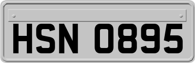 HSN0895