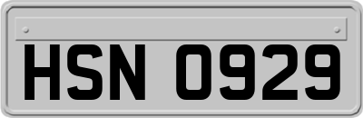 HSN0929