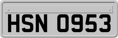 HSN0953