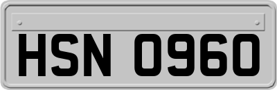 HSN0960