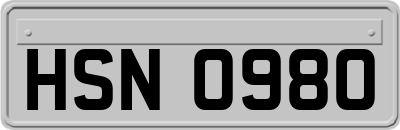 HSN0980