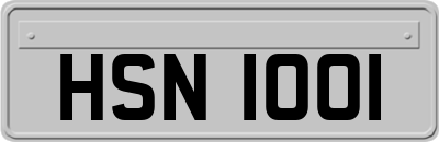 HSN1001