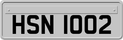 HSN1002