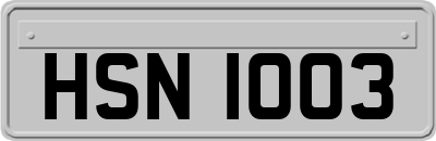 HSN1003