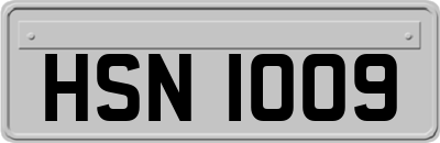 HSN1009