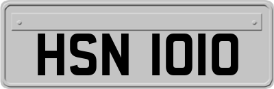 HSN1010