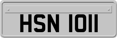 HSN1011