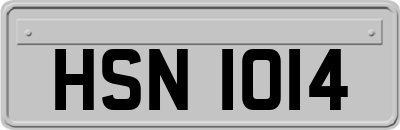 HSN1014