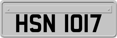 HSN1017
