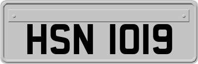 HSN1019