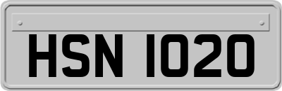 HSN1020