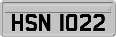 HSN1022
