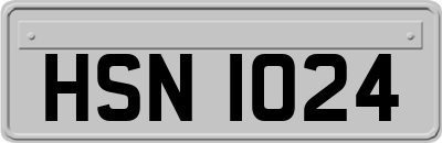 HSN1024