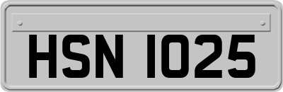 HSN1025