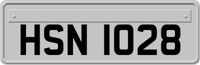 HSN1028