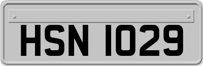HSN1029