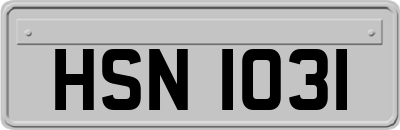 HSN1031