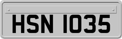 HSN1035