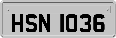 HSN1036