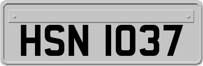 HSN1037