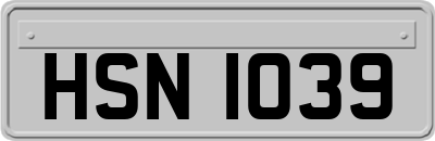 HSN1039