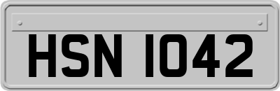 HSN1042