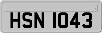 HSN1043