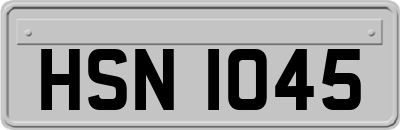 HSN1045