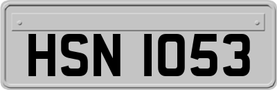 HSN1053