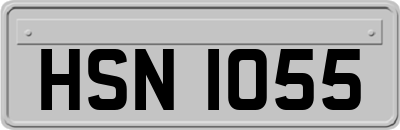 HSN1055
