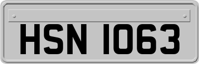 HSN1063