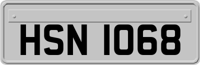 HSN1068