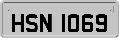 HSN1069