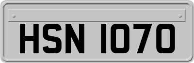 HSN1070