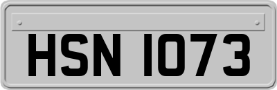 HSN1073