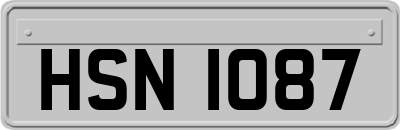 HSN1087