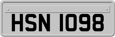 HSN1098