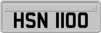 HSN1100