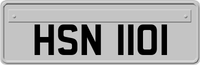 HSN1101