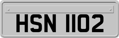 HSN1102