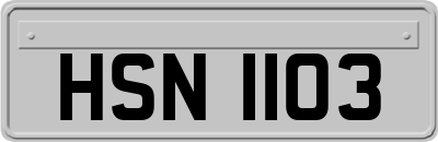 HSN1103