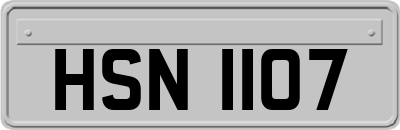 HSN1107