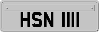 HSN1111