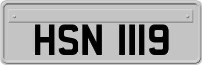 HSN1119