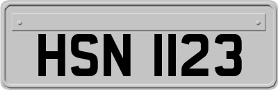 HSN1123