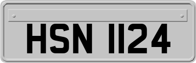 HSN1124