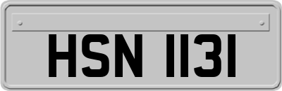 HSN1131
