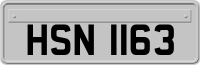 HSN1163