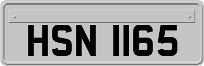 HSN1165