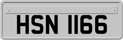 HSN1166